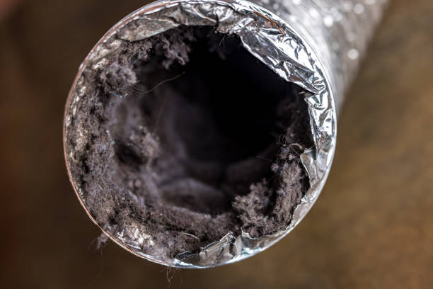 Ductwork Cleaning Services in St Leo, FL