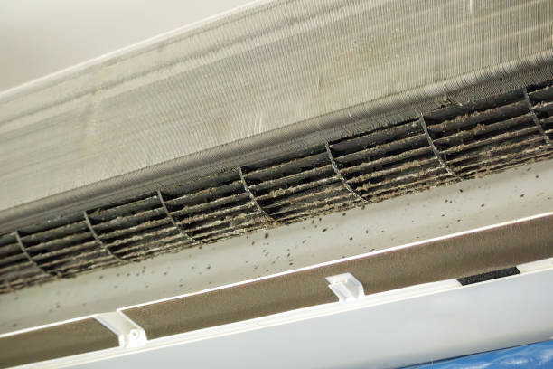 Ventilation Cleaning Services in St Leo, FL